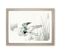 Grey Heron In Flight By Numata Kashu Asian Japanese Framed Print | A2 Oak Framed Wall Art | Ready to Hang | Asian Animal Picture | Living Room Bedroom Lounge Office