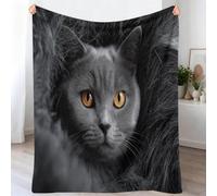 Grey Machine Wash Fluffy Flannel Throw Blanket, Animal Shorthair Cat Soft Easy Care Micro Fleece Blankets, Minimalist Photography Cozy Warm Throw Blanket for Couch Living Room Sofa Bed, 220 x 240 cm