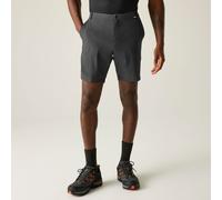 Grey male 32 Regatta Men's Anti insect Travel Light Shorts Grey, Size: 32
