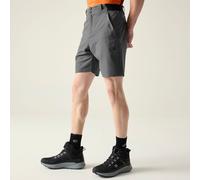 Grey male 33 Dare 2b Men's Torrek II Walking Shorts Grey, Size: 33
