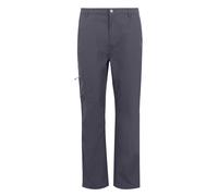 Grey male 33 L Regatta Men's Dalry Multi Pocket Trousers Grey, Size: 33 L
