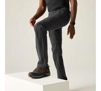 Grey male 33 R Regatta Men's Highton II Zip Off Walking Trousers Grey, Size: 33 R