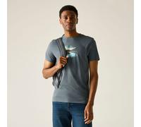 Grey male 4XL Regatta Men's Breezed Graphic T-Shirt Grey, Size: 4XL
