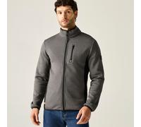 Grey male M Regatta Men's Brayleigh Fleece Grey, Size: M
