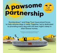 (Grey, Medium) Paws for Slumber Padded Pet Bed UK Made