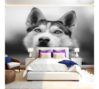Grey Mural Wallpaper Animal Husky Photo Wallpaper 3D Effect 200 x 140 cm Non-Woven Wall Mural Home Bedroom Living Room Tv Background Poster Decoration