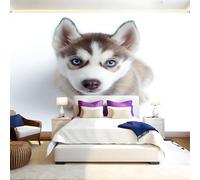 Grey Mural Wallpaper Animal Husky Puppy Photo Wallpaper 3D Effect 200 x 140 cm Non-Woven Wall Mural Home Bedroom Living Room Tv Background Poster Decoration
