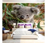 Grey Murals Photo Wallpaper Animal Koala Non-Woven Premium Art Print Fleece Wall Mural Poster Picture Design Modern Boy Girl Bedroom Home Decor 350 x 256cm