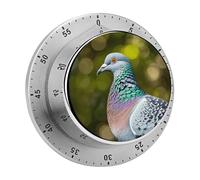 Grey Pigeon Mechanical Kitchen Timer, 60 Minute Wind Up Timer with Magnetic Base, Round Manual Rotating Stainless Steel Timers for Meeting Cooking Working