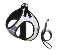 Grey Pigeon Print Print Soft Mesh Dog Harness and Leash Set Pet Puppy Cat Comfort Padded Vest No Pull Harnesses
