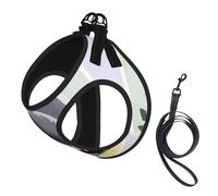 Grey Pigeon Print Printing Dog Summer Harness With Leash Set,Adjustable And Reflective Step-In Puppy Pet Vest Harnesses