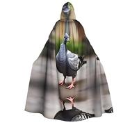 Grey Pigeon Ultimate Vampire Cloak for Halloween-an Essential Addition to Every Lady's Dress Up and Role, Grey Pigeon, One Size