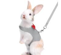Grey Rabbit Harness and Leash Set, with Cute Bow Soft Breathable Mesh Bunny Vest Harness for Rabbits Kitten Ferret Puppy Small Pets Walking, L