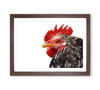 Grey Rooster Looking West Painting Modern Art Framed Print | A2 Walnut Framed Wall Art | Ready to Hang | Modern Animal Picture | Living Room Bedroom Lounge Office