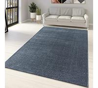 Grey Rugs Modern Plain Monochrome Large Small Woven Carpets for Living Room Bedroom Solid Area Rugs (Grey Rug, 80x150cm (2'6"x5'0"))