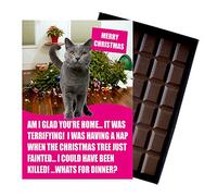 Grey Russian Blue Cat Lover Christmas Card Silly Present for Owners Funny Stocking Filler Secret Santa for Men Women 100 Gram Milk Chocolate Greeting for Him or Her