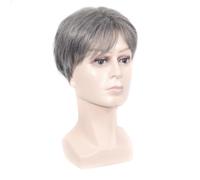 Grey Short Silver Wig High Temperature Fiber Hairpiece for Men | Breathable Silky Feel, Natural Realistic Appearance, Stylish White Shade, Comfortable Fashion Accessory and Friends