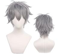 Grey Short Wig for Men with Straight Messy Heat Resistant Fiber Synthetic Costume Hairs for Men Halloween Comic Con Cos Anime Party Replacement Wigs
