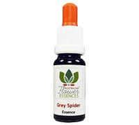 Grey Spider Australian Flower Essences Love Remedies
