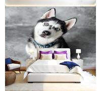 Grey Wall Murals for Living Room Animal Husky 3D Print Photo Wallpaper Luxury Design Modern Non-Woven Wall Mural Sofa TV Kids Bedroom Decoration 200 x 140cm