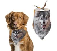 Grey White Pomeranian Pomsky Dog Pet Bandana Dogs Triangle Scarf Cats Handkerchief Puppy Costume