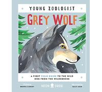 Grey Wolf (Young Zoologist): A First Field Guide to the Wild Dog from the Wilderness: 8 (Young Zoologist, 8)