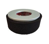 Greyfriars Air Filter Replacement for Yanmar L40 L48 L70 Replacement for 114250-12540 114250-12580