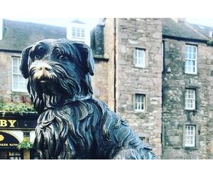 Greyfriars Walking Tour 90 Minutes Book the best