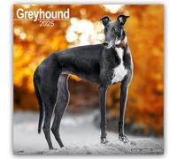 Greyhound Calendar 2025 Dog Breed Gift Wall Calendar 15% OFF MULTI ORDERS