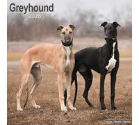 Avonside Publishing Wall Calendar – Greyhound 2026 – Square, 16-Month, Plastic-Free Packaging