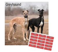Greyhound Calendar 2026 | 16 months | with FREE Organisational Stickers, Greyhound Gift