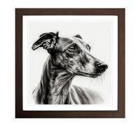 Greyhound Dog Drawing Framed Print | 18x18 Inch Walnut Framed Wall Art | Ready to Hang | Modern Animal Picture | Living Room Bedroom Lounge Office