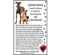 Greyhound Lover (I Learned from my Greyhound) Gift - Large Fun flexible Fridge Magnet- size 16cms x 10 cms (approx. 6" x4")