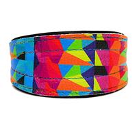GREYHOUND LURCHER WHIPPET REAL LEATHER DOG PUPPY COLLAR MULTICOLORED (17.5" long For Neck Sizes 12.5" To 15")