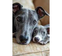 Greyhound Notebook: A Chip Off...