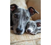 Greyhound Notebook: A Chip Off...