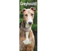 Greyhound Slim