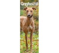 Greyhound Slim 2026 Calendar | Slimline Wall Calendar | Dog Breed Gift | Plastic Free Packaging | by Avonside Publishing