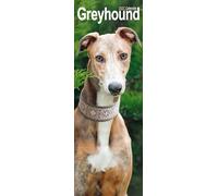 Greyhound Slim 2027 Calendar | Slimline Wall Calendar | Dog Breed Gift | Plastic Free Packaging | by Avonside Publishing