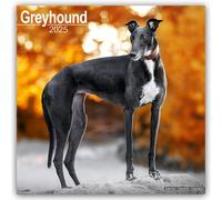 Greyhound Calendar 2025 Dog Breed Gift Wall Calendar 15% OFF MULTI ORDERS