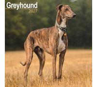 Greyhound SS Wall