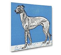 Greyhound Vol.1 by Moriz Jung Canvas Print | Gallery Wrapped 30mm Frame Wall Art | 14x14 inches | Ready to Hang | Modern Picture | Living Room Bedroom Lounge Office