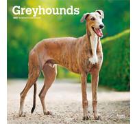 Greyhounds 2027 Square Flap: Original BrownTrout-Kalender [Mehrsprachig] [Kalender] (Greyhounds | 2027 12 x 24 Inch (Hanging) Monthly Square Wall ... | BrownTrout | Animals Dog Breeds)