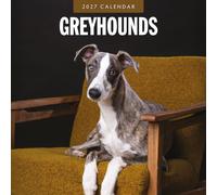 Greyhounds - 2027 Square Wall Calendar - by Red Robin Publishing