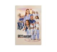 Grey's Anatomy Canvas Wall Art Living Modern Family Bedroom Music Movie Cartoon Poster 24x36inch(60x90cm) Unframe-style