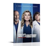 Grey's Anatomy Creative Waterproof Decorative Paintings Free of Framing Directly Pasted with Moisture-proof And Anti Fouling Materials Living Room Bedroom Hanging Paintings Artistic Sense Home GiftsFr