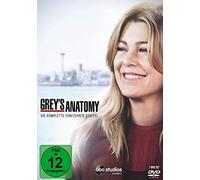 Greys Anatomy - Die jungen Ärzte: Season 15 [DVD]