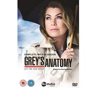 Grey's Anatomy - Season 12 [DVD]