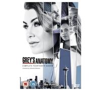 Grey's Anatomy Season 14