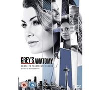 Grey's Anatomy Season 14